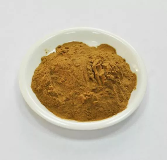 Сухой экстракт клевера - изофлавоны 8% (трава) (лат. Trifolium pratense L.)